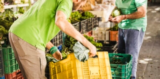 El importante papel del canal mayorista en México el-importante-papel-del-mayorista-en-mexico